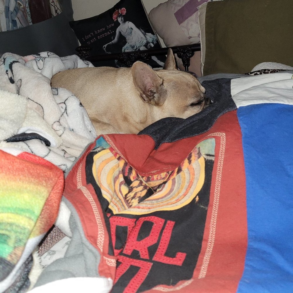 Meet your Posher, Jamee